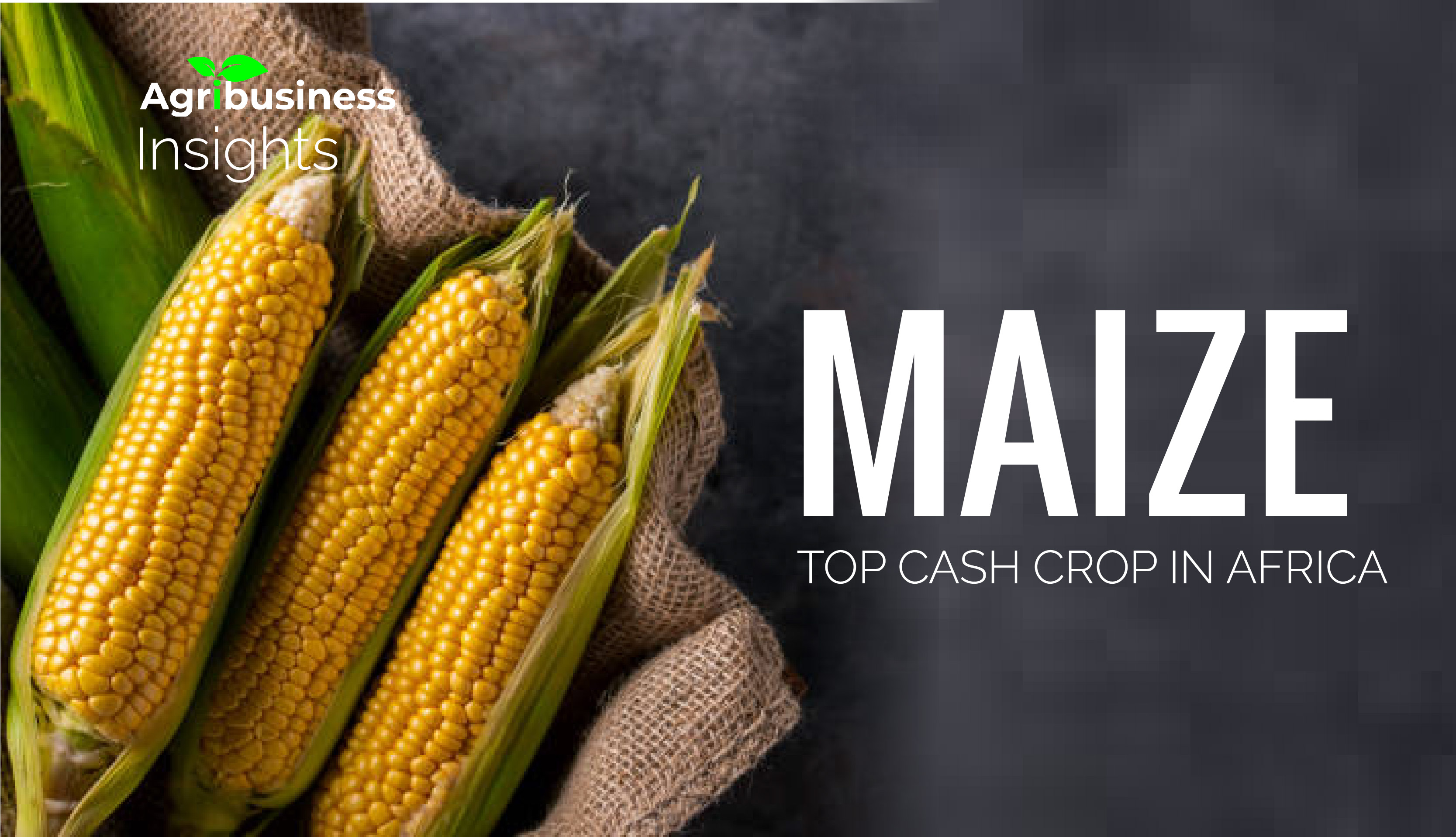 MAIZE, Top cash crops in Africa